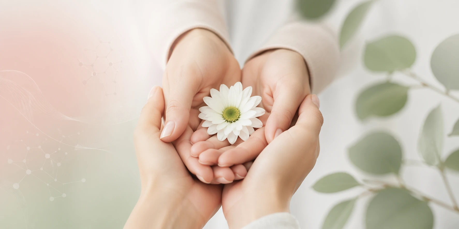 Best Counselling and Mind Reframing Center in Tirur, Tanur and Malappuram - Mindbeat Healing